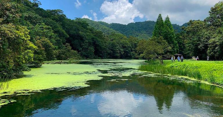 fushan-botanical-garden.jpg