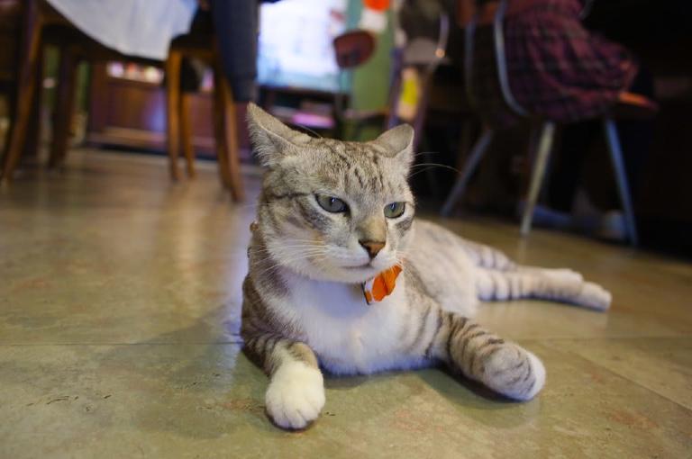 yaboo-cafe.jpg